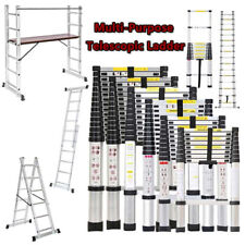 Folding Telescoping Ladder